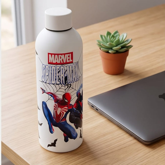Stainless Bottle-Bottles