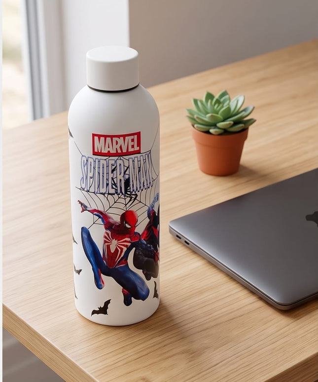 Stainless Bottle-Bottles