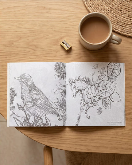 Bird Colouring Book-Books
