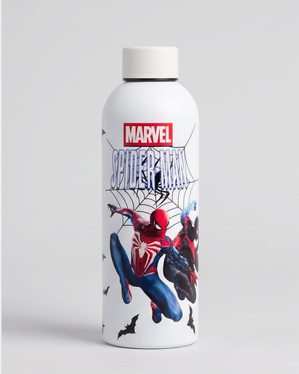 Stainless Bottle-Bottles