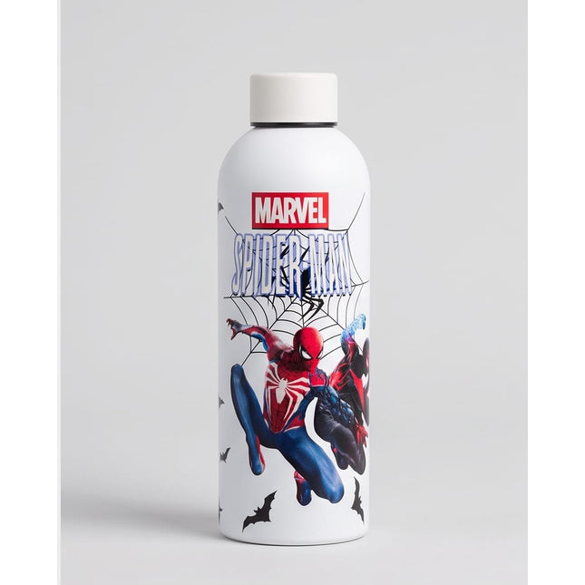 Stainless Bottle-Bottles