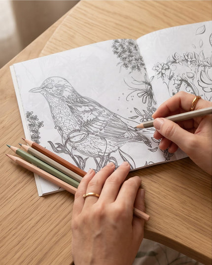 Bird Colouring Book-Books