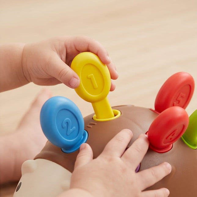 Learning Toy Set-Toys