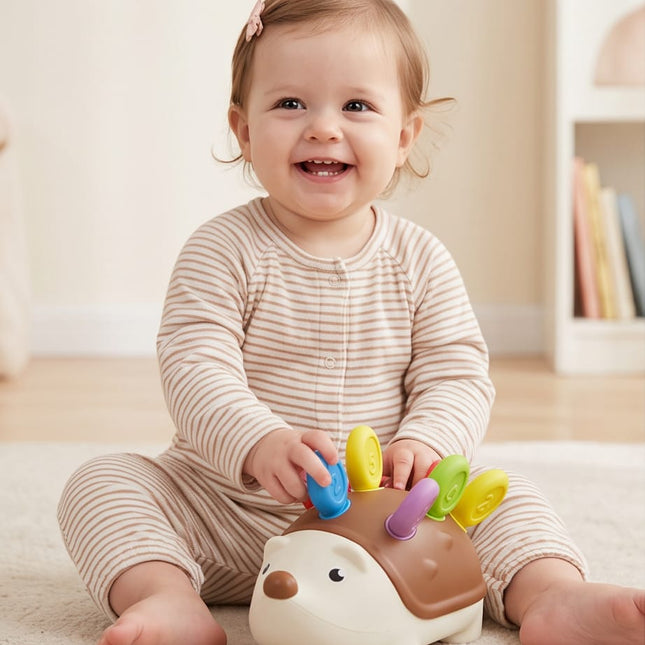 Learning Toy Set-Toys