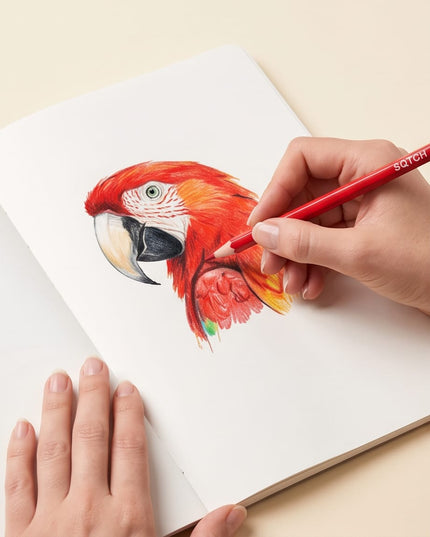 Colored Pencils-Coloring