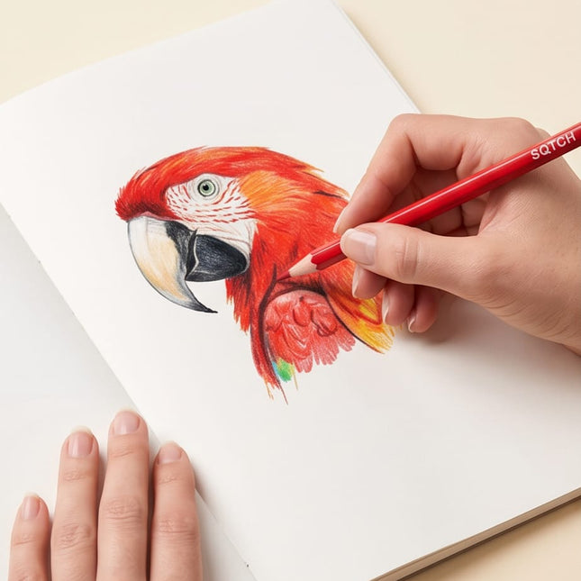 Colored Pencils-Coloring