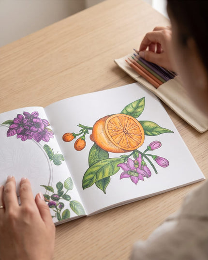 Bird Colouring Book-Books
