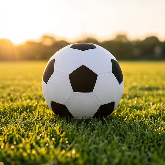 Stuffed Football-Games